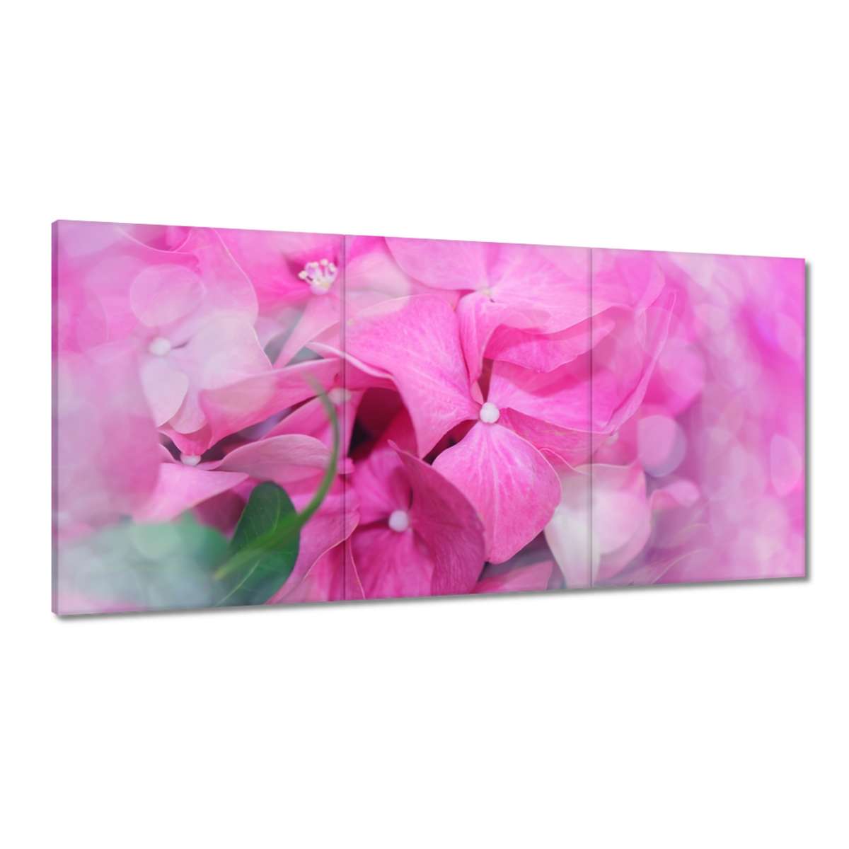 Obrazy 180x90 Deň žien Darčeková láska