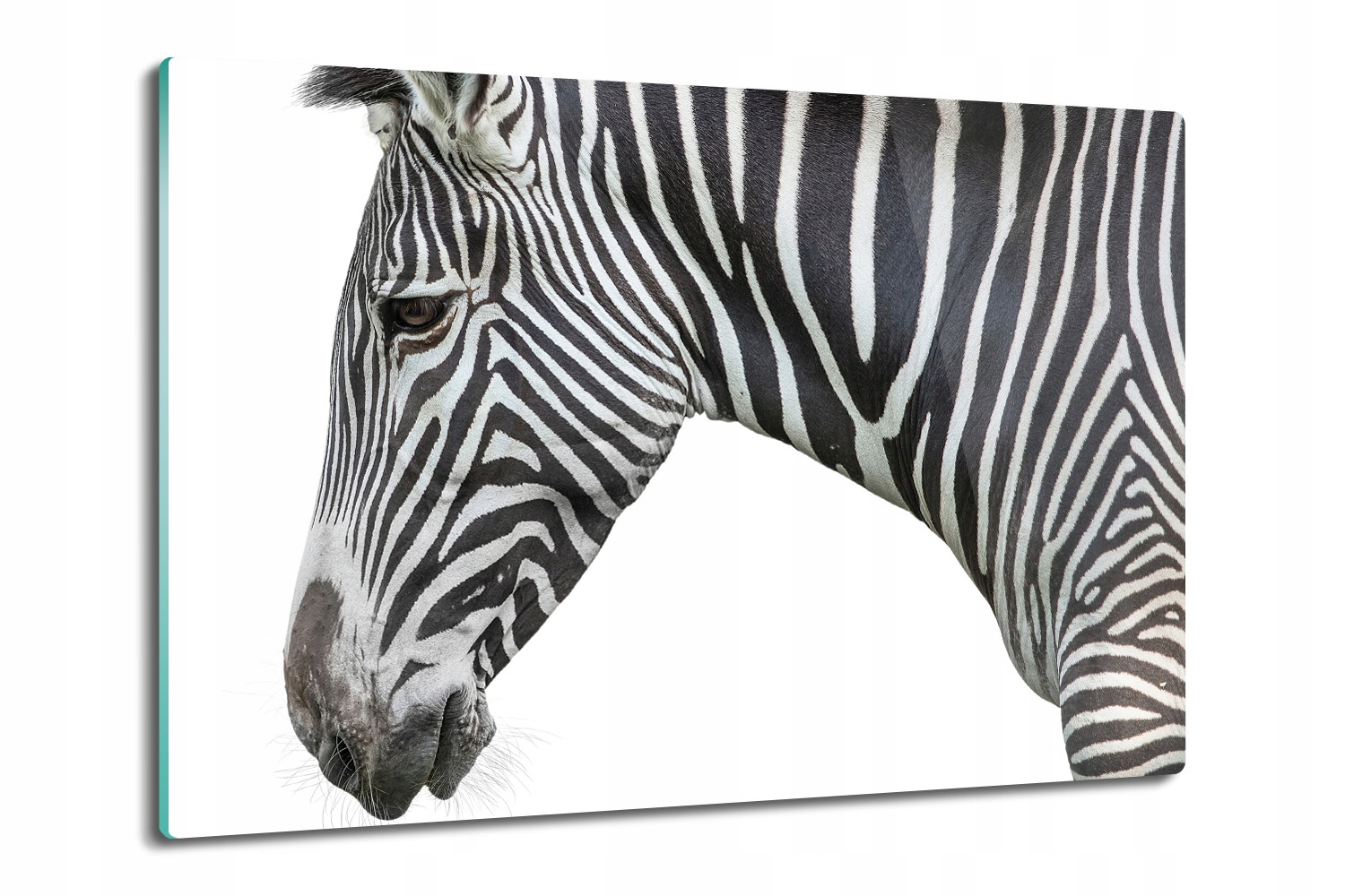 

szklana deska do krojenia Zebra głowa pasy 80x52