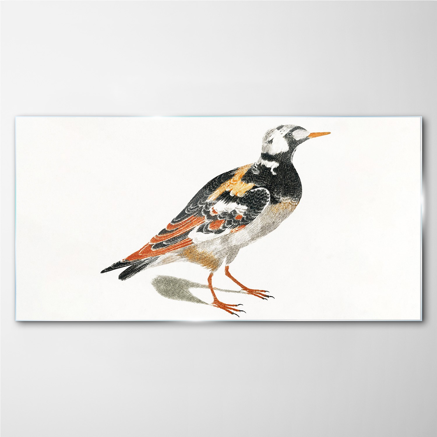 

Obraz szklany na ścianę Zwierzę ptak 100x50 cm