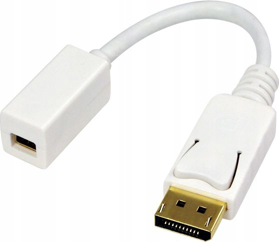 Adapter Display Port Duży na displayport mini