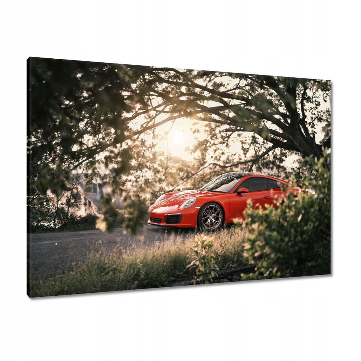 Obrazy 100x70 Auto Fura Sport