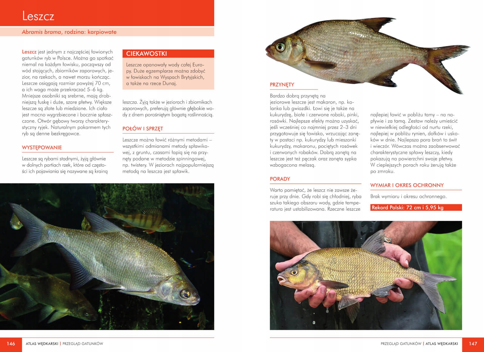 ATLAS WĘDKARSKI SPRZĘT PORADY OPIS GATUNKÓW TW 925 Tytuł Atlas wędkarski