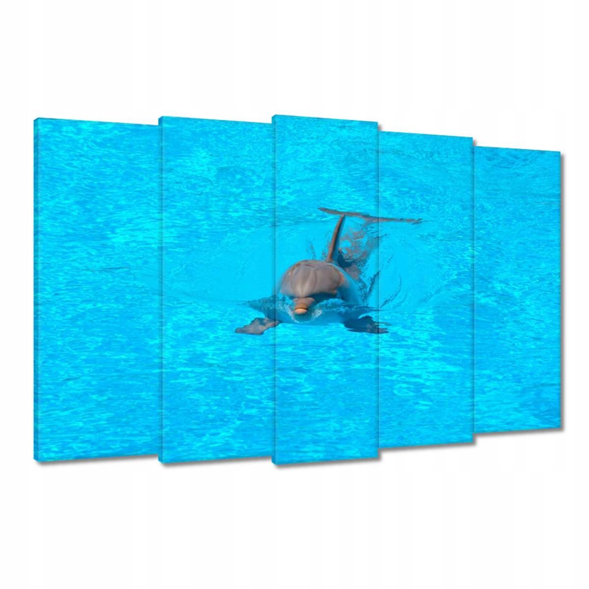 Obrazy 150x95 Delfín