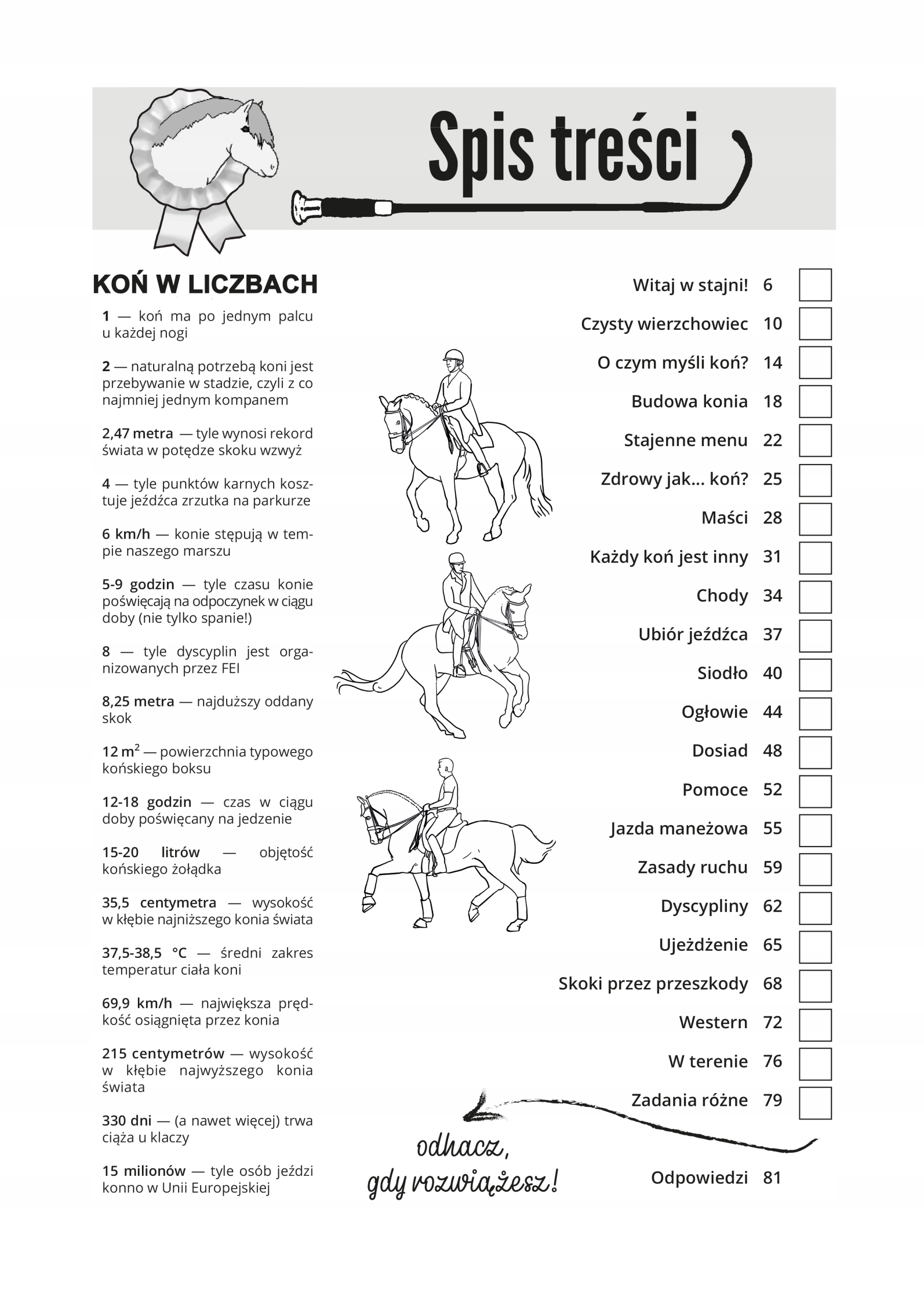 "Koń Zebrany w zadaniach" Gaba Krzyżanowska bezpośrednio od KonnaCafe ISBN 9788394797942