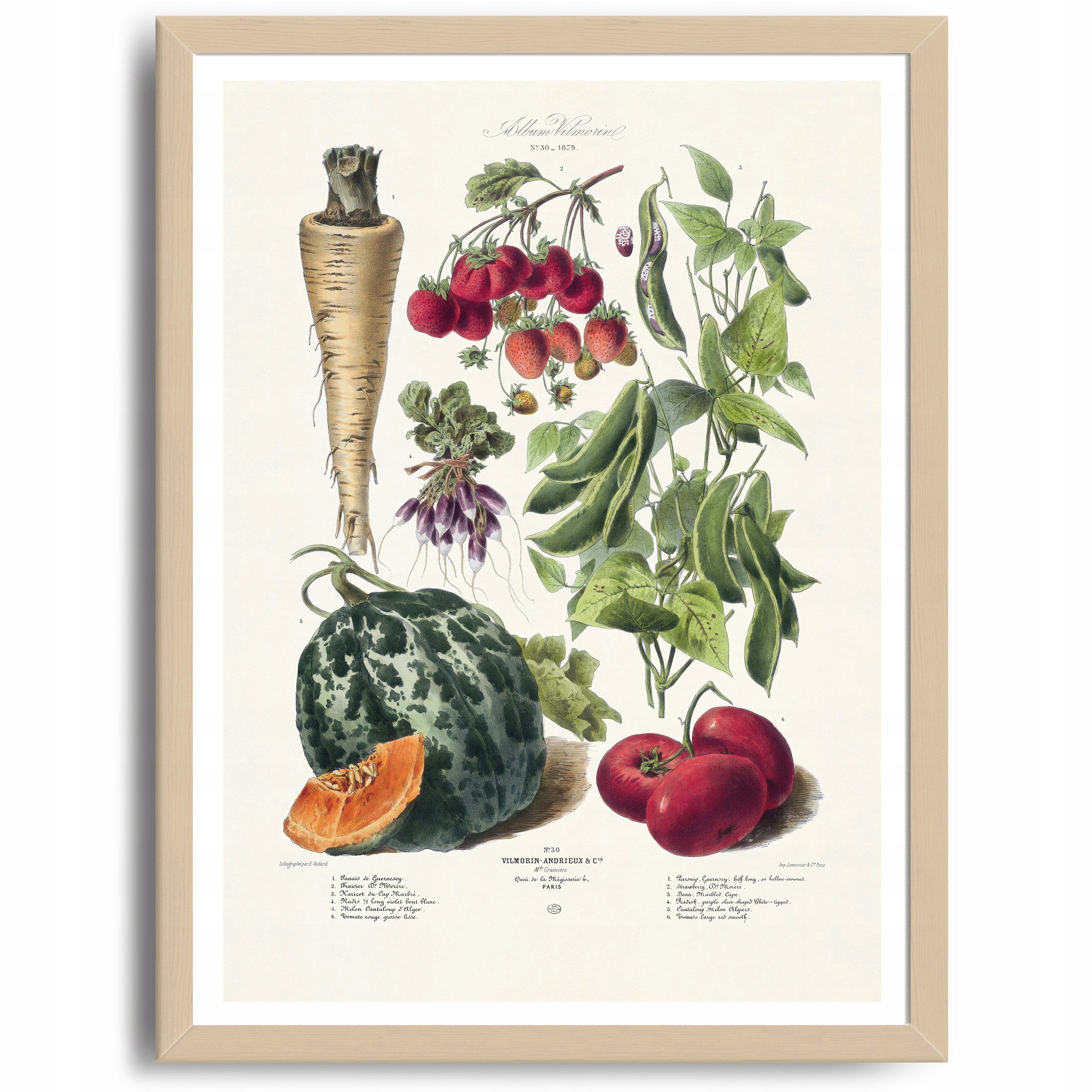 

Plakat do Kuchni Warzywa Obraz Vintage A3