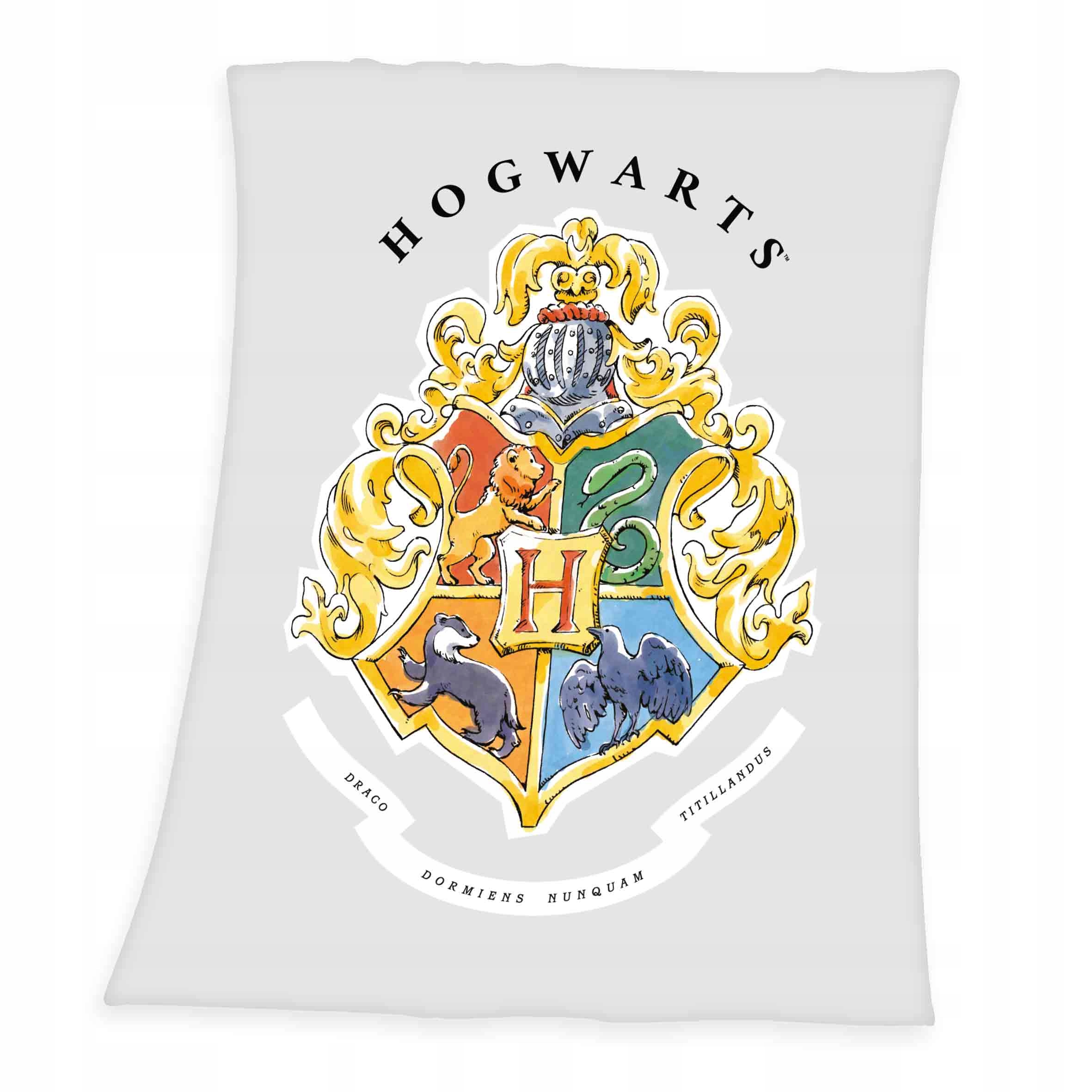 

Koc Kocyk Harry Potter 130X160 Szary Młodzieżowy
