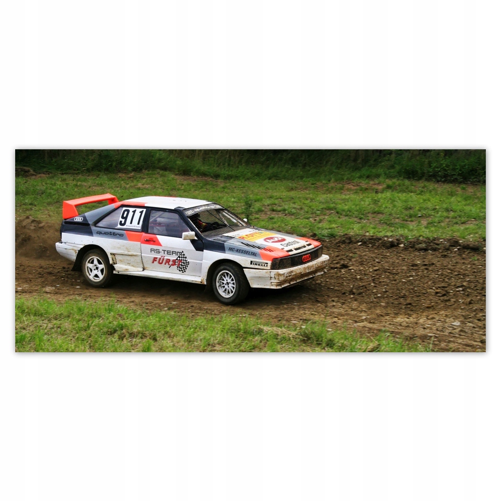 

Fototapety flizelina 211x91 Audi Quattro na trasie