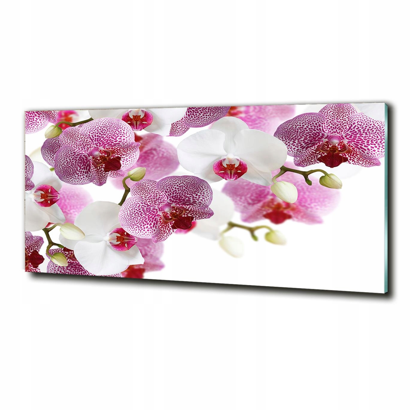 

Foto szklany na ścianę obrazek Orchidea kwiaty