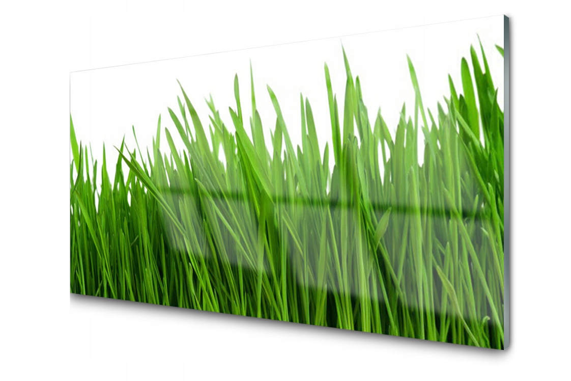 

Panel szklany dekor Trawa Roślina 120x60 + Klej