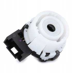 KOSTKA STACYJKI WKŁAD TIGUAN SCIROCCO GOLF VI VW Numer katalogowy części 114 222