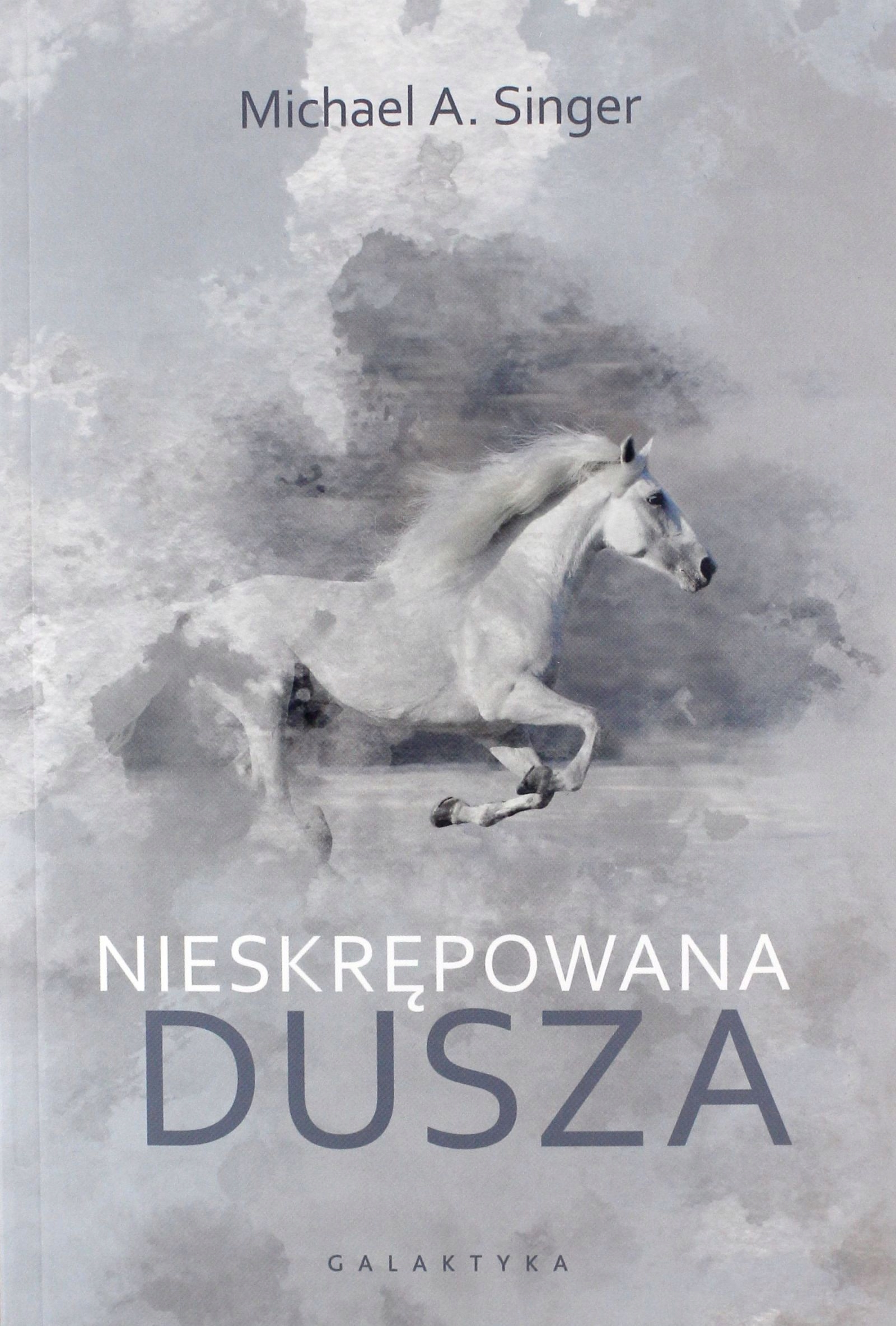 

Nieskrępowana Dusza Michael A. Singer (książka)
