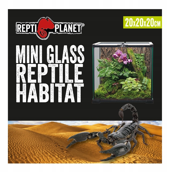 

Repti Planet terrarium szklane 20x20x20cm