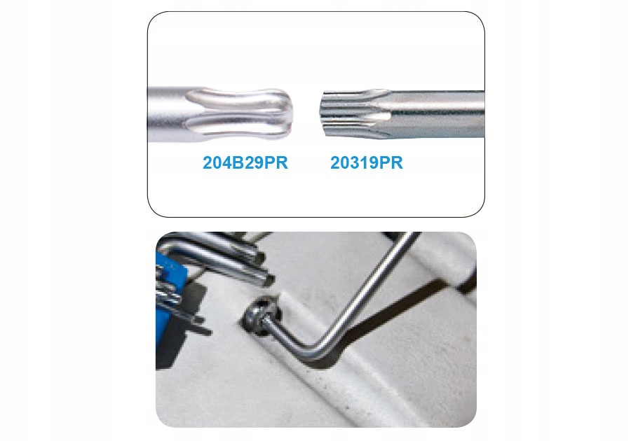 E9527ddd44a8b1be96eec98c7ae8