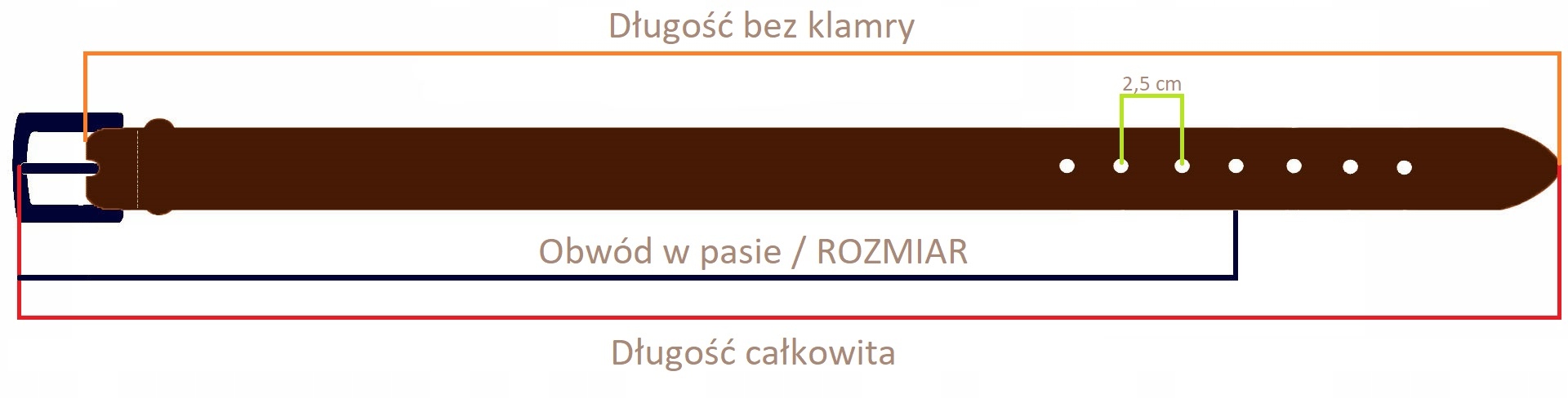SKÓRZANY PASEK MĘSKI - DAMSKI BETLEWSKI DW40-100 Płeć uniseks