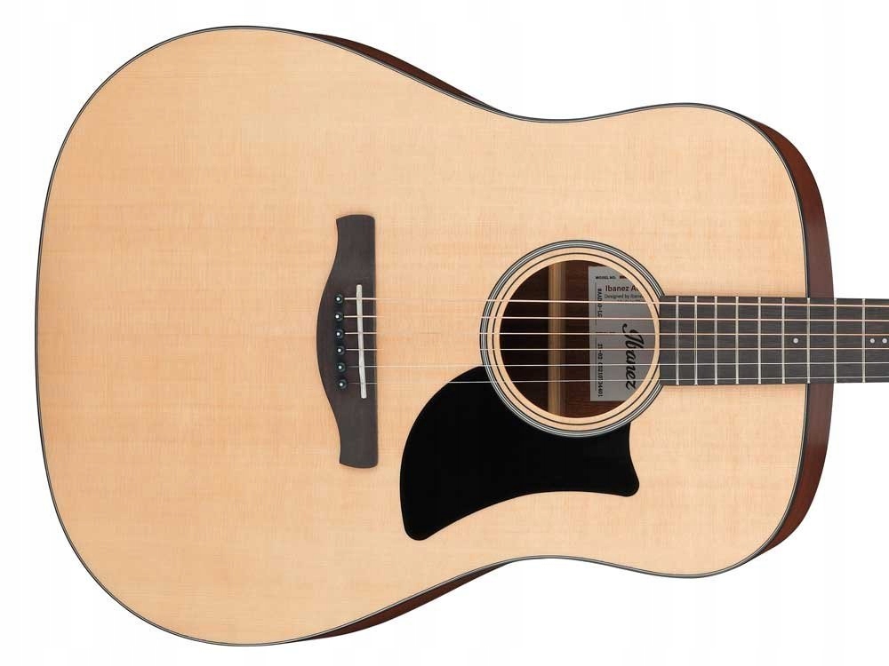 Akustická kytara Ibanez AAD50-LG