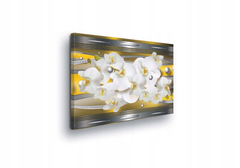 Obraz 100x75 Bílé orchideje abstrakce moderní elegantní květinový klid