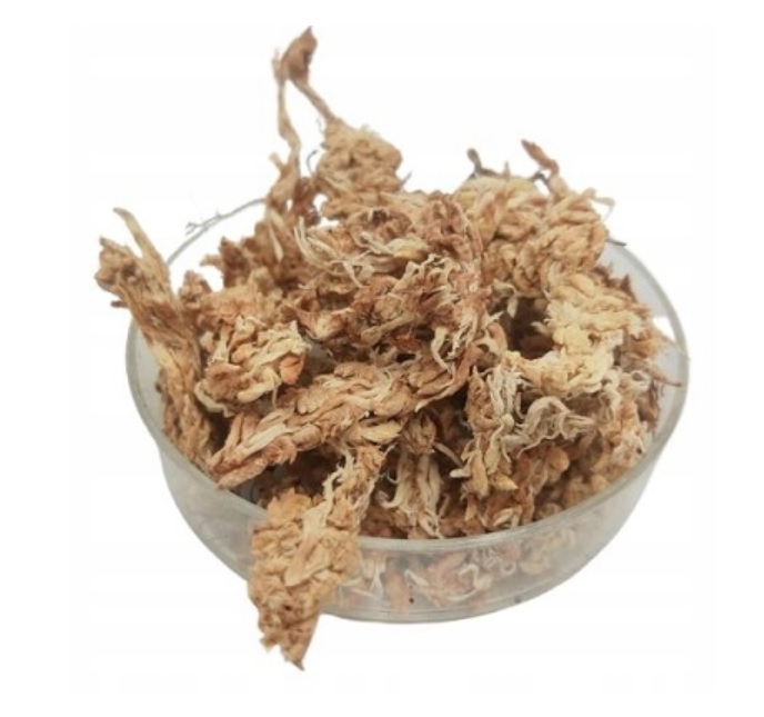 Mech torfowiec Sphagnum Moss 20g