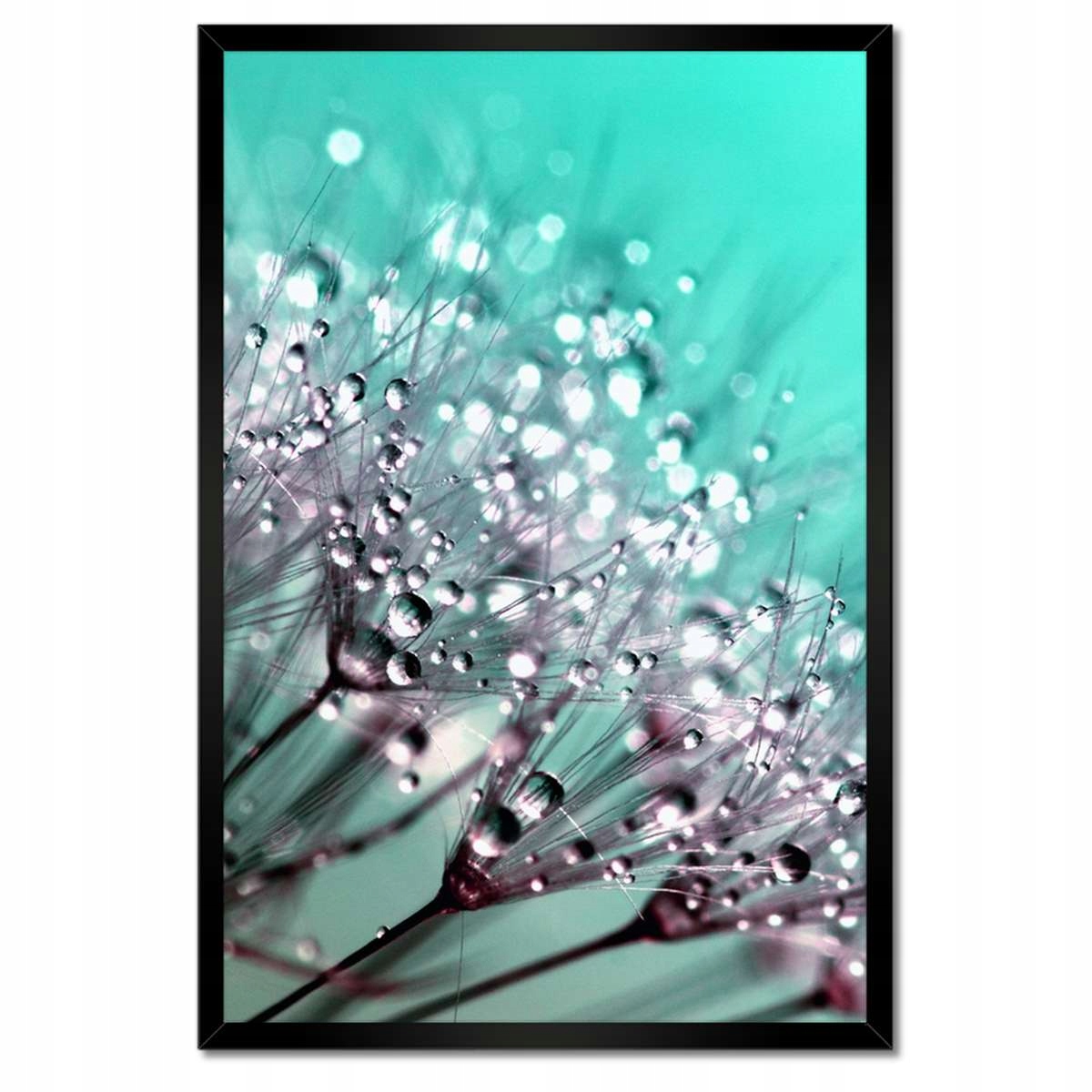 Plakáty v rámu 40x60 Kapky rosy Pampeliška