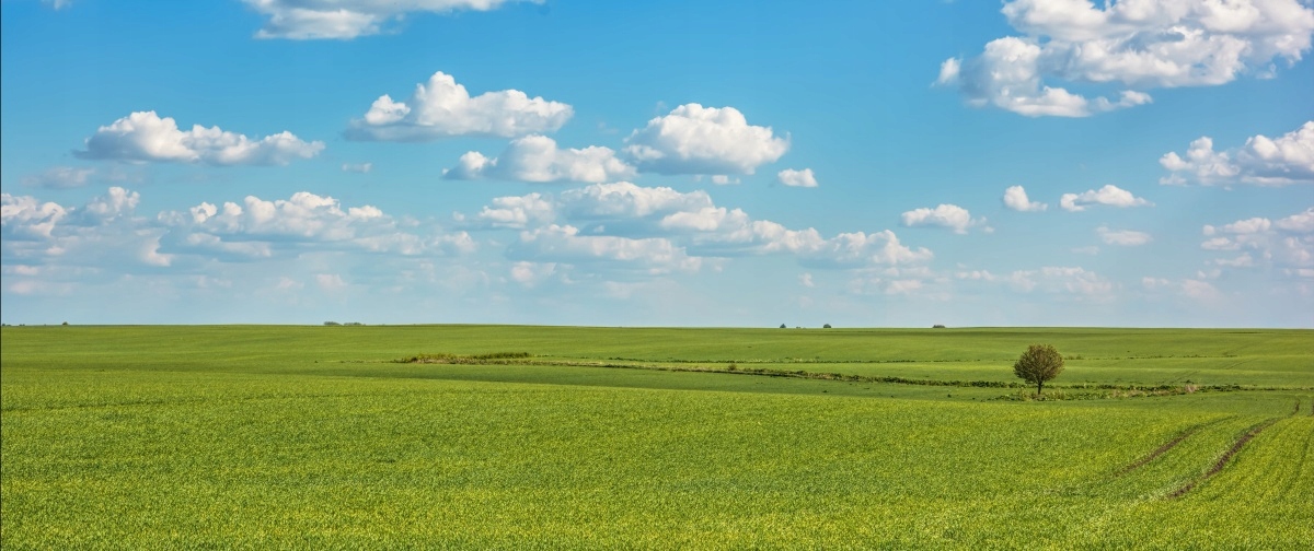 

Fototapeta Flizelinowa Łąka Niebo 250x104