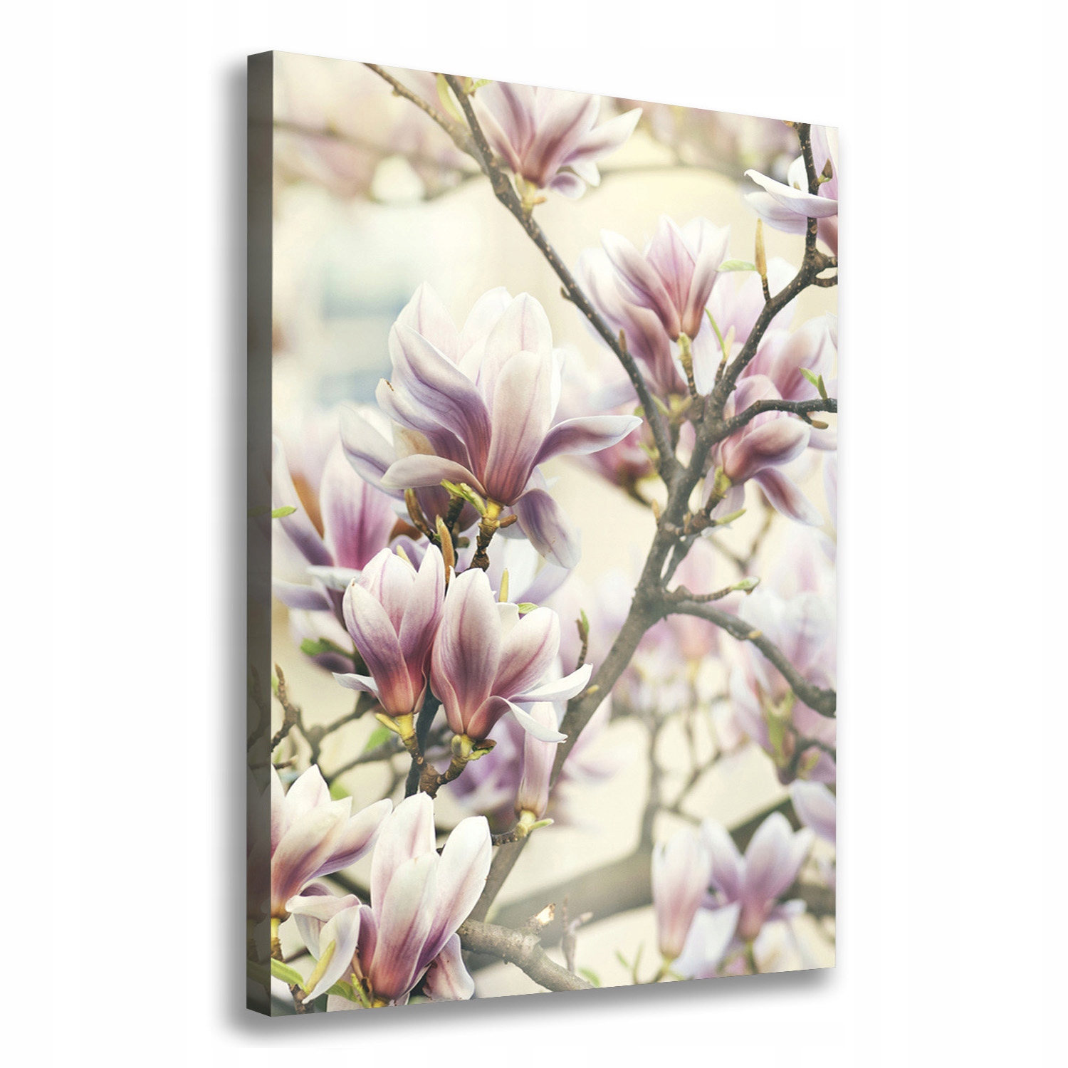 Fotoobraz obraz na plátně do obývacího pokoje Magnolie 70x100 cm