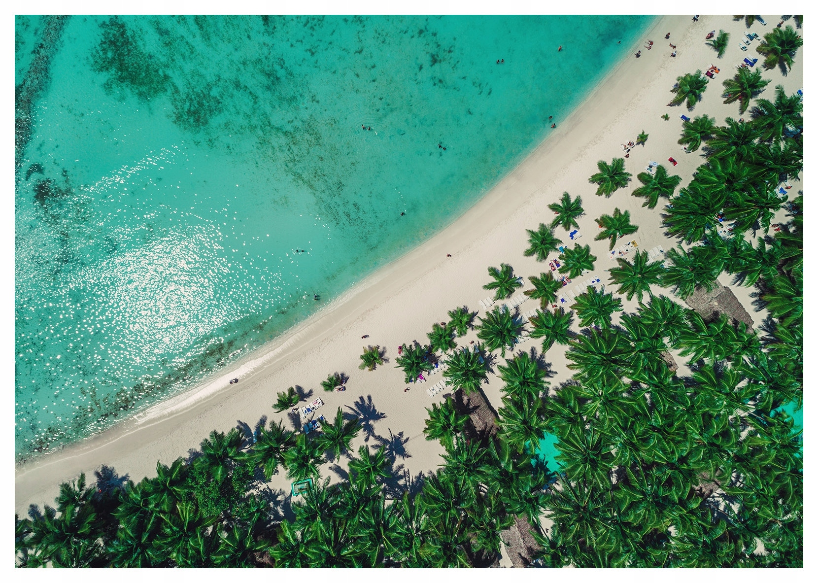 Vliesová fototapeta Pláž palmy a slunce bílý písek 368x280 lepidlo