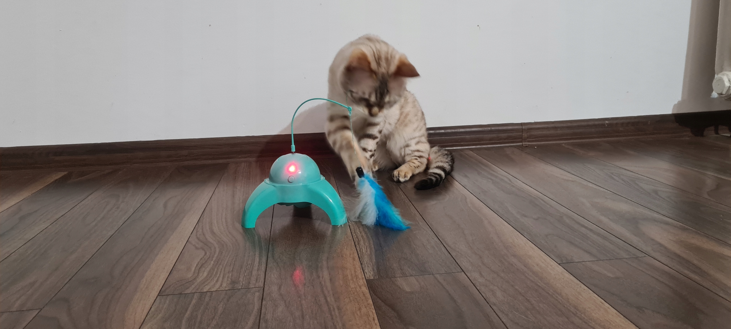 Hračka pro kočky s mátovým peřím Cat Toy