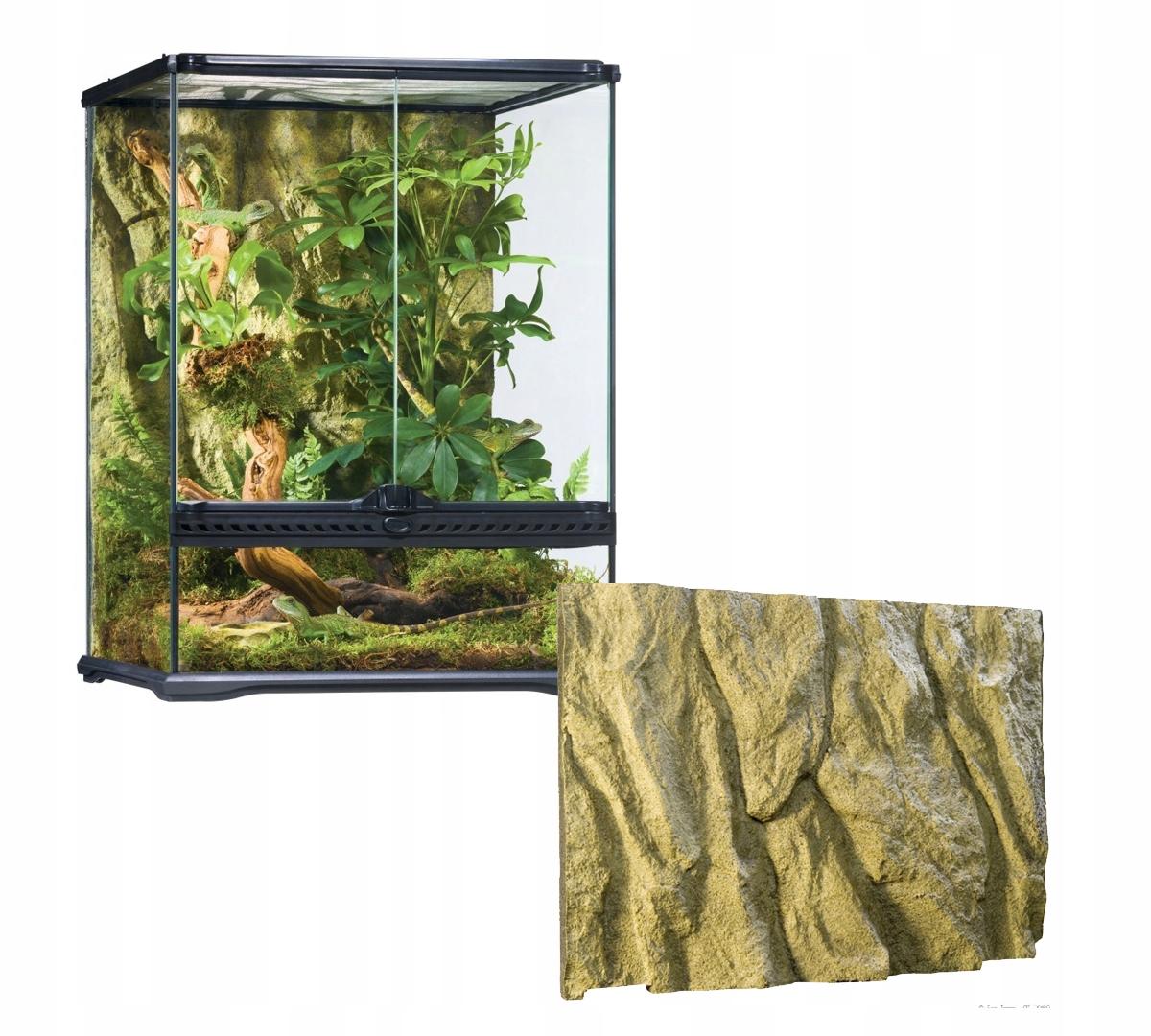 EXO TERRA TERRARIUM SZKLANE 45X45X45 13117191067 - Allegro.pl