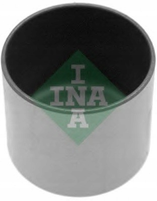 POPYCHACZ ZAWORÓW CITROEN