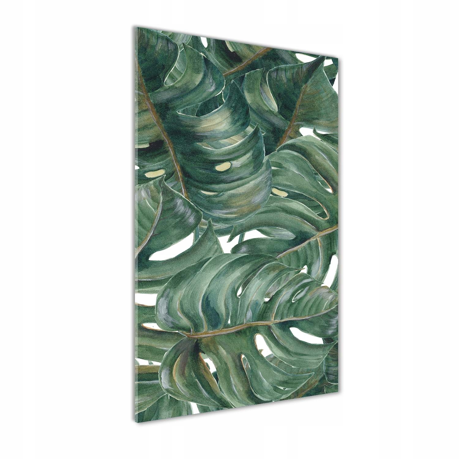 

Foto obraz akrylowy na ścianę Monstera 50x100 cm