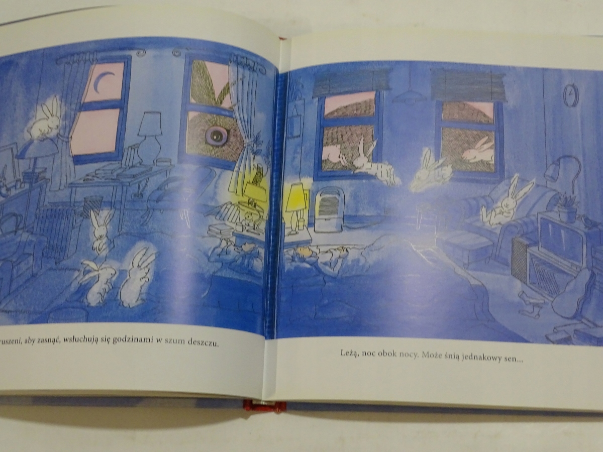 JAK BAWI SIĘ NAMI MIŁOŚĆ JIMMY LIAO Wydawnictwo Mireki