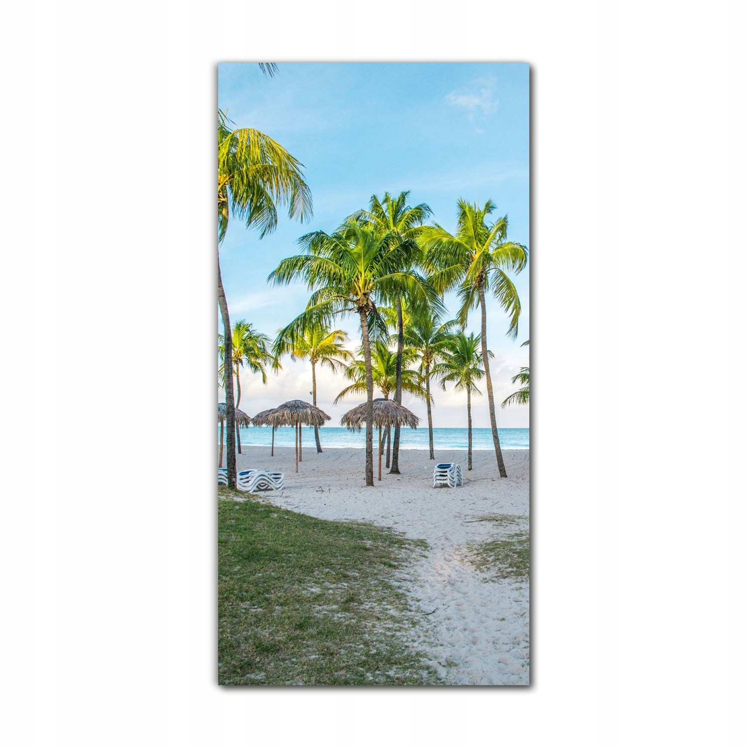 

Foto-obraz na szkle nowoczesny 70x140 Kuba palmy