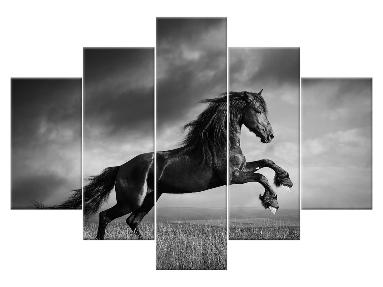 

Obraz na płótnie Koń 150x105 Pejzaż 2248A_5H