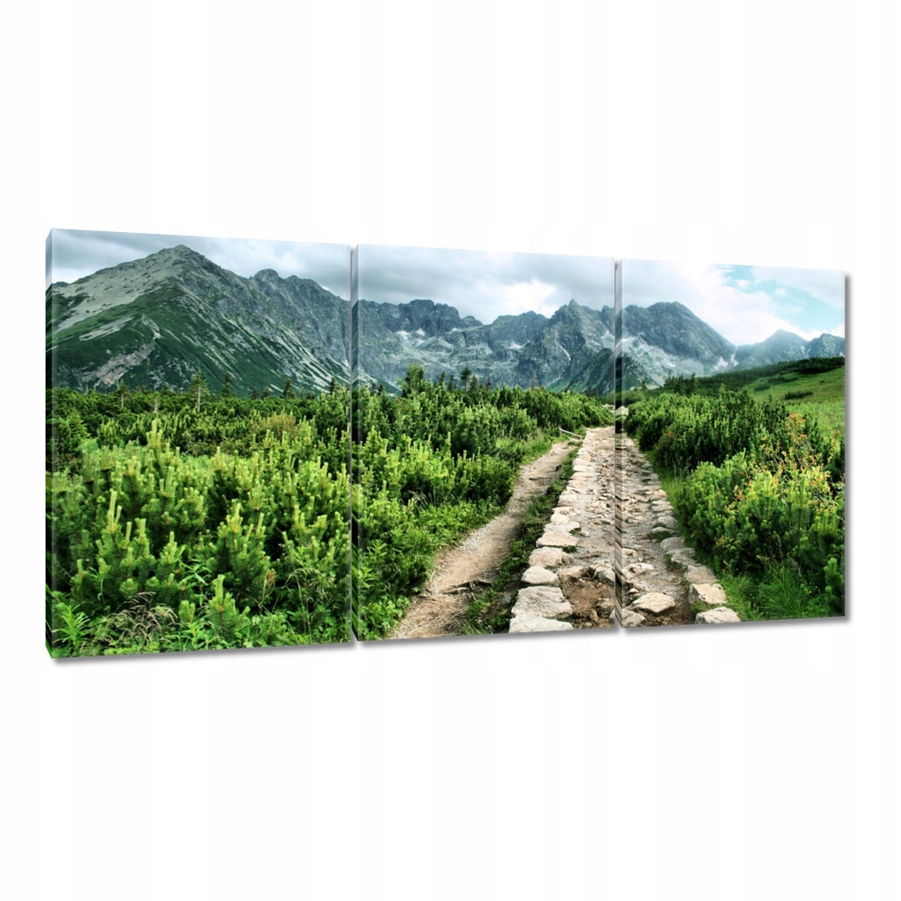 

Obrazy 120x60 Kamienista droga Tatry