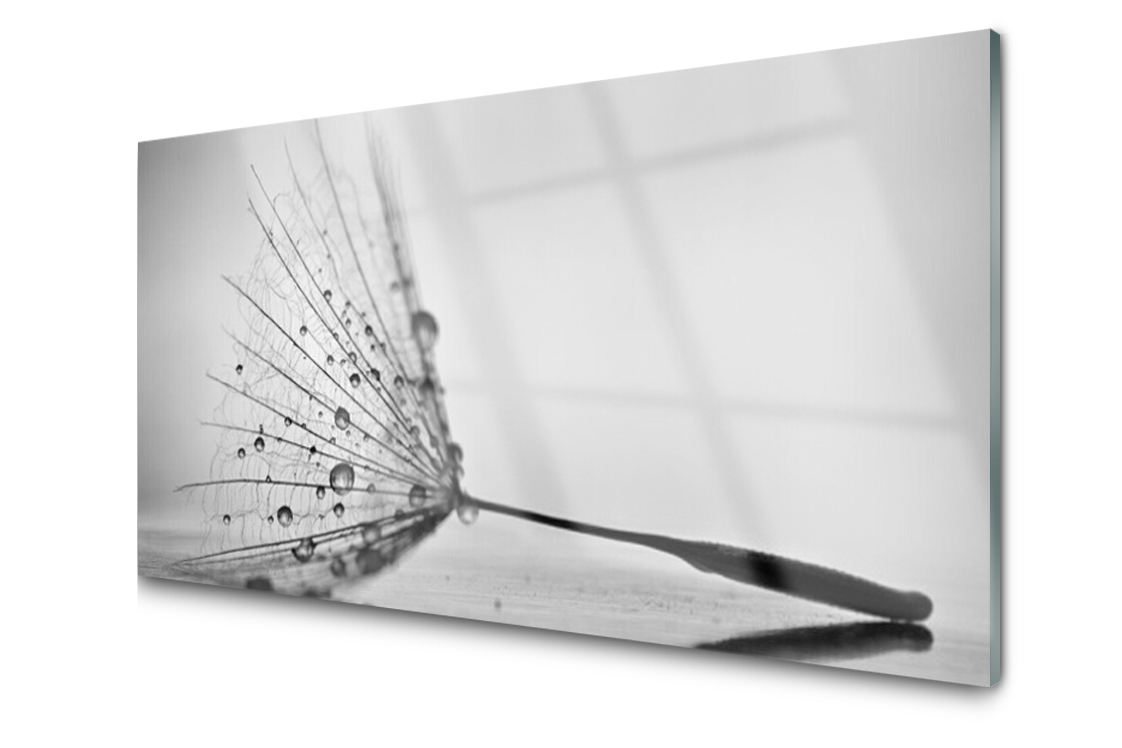 

Panel szklany Płytka Dmuchawiec Nasionka 140x70