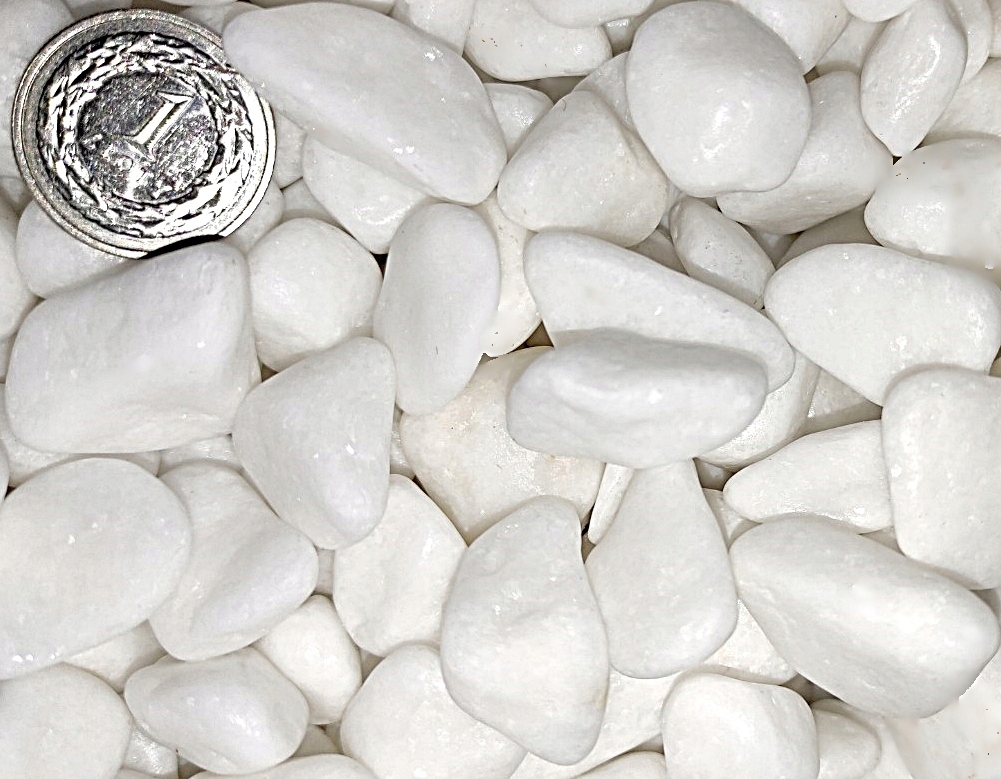 OTOCZAK BIAŁY DEKORACYJNY LAS W SŁOIKU 1 KG 1-2 CM Kod producenta Blue way