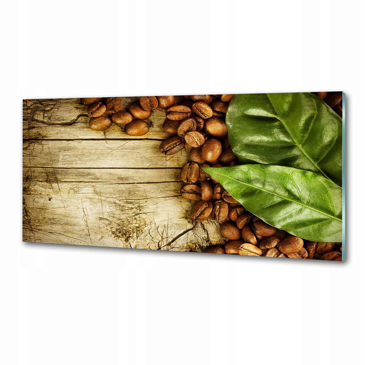 Panel lacobel Káva a bobkový list 125 x 50 cm Lepidlo