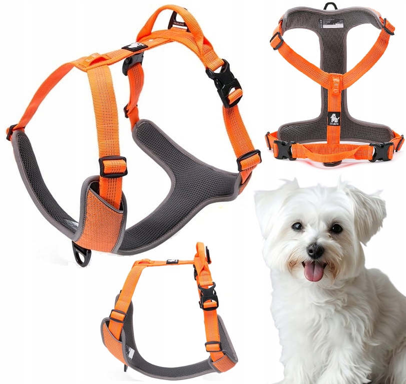 Reflexní Postroj Pro Psa Guard Easy Walk Truelove Lumen Oranžový Xs