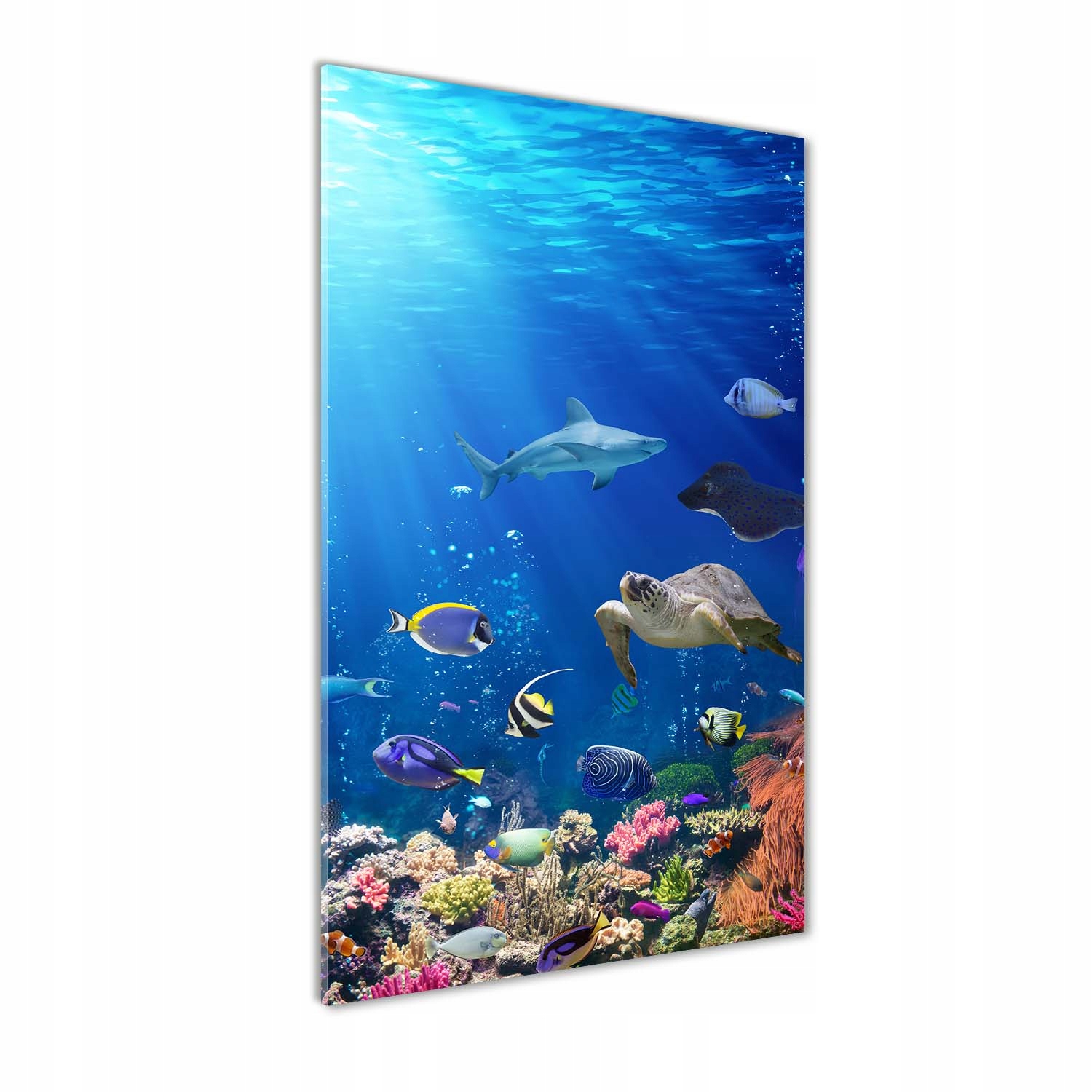 

Foto obraz szkło hartowane Rafa koralowa 60x120 cm