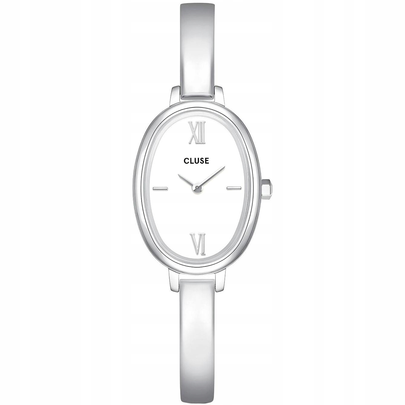 Dámské hodinky Cluse CW16102 stříbrné