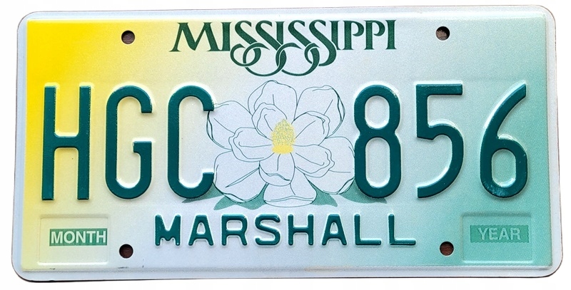 Mississippi - tablica z USA dla kolekcjonera