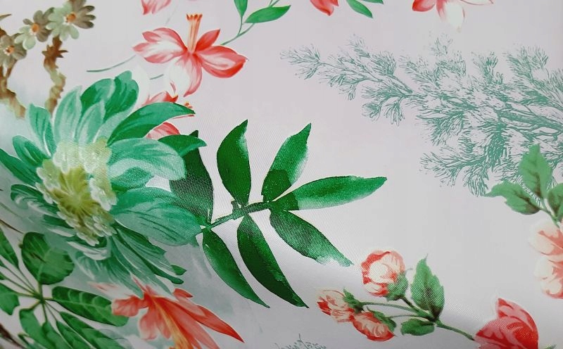 

Cerata, Ceraty,obrus, Liście Monstera, Struktura