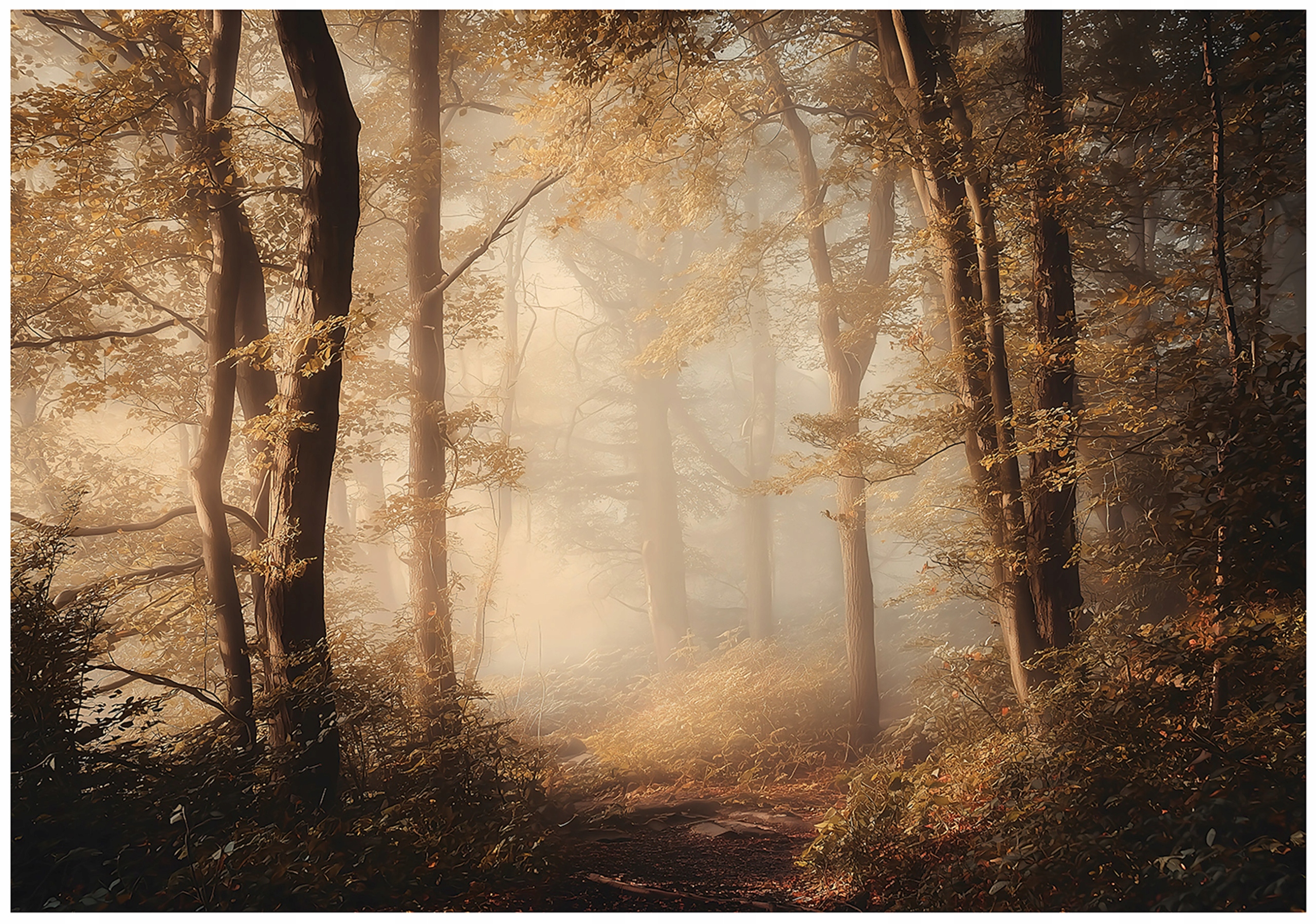 Fototapeta Les Stromy Příroda Ložnice Obývací Pokoj Tapeta Flizelina 200x140