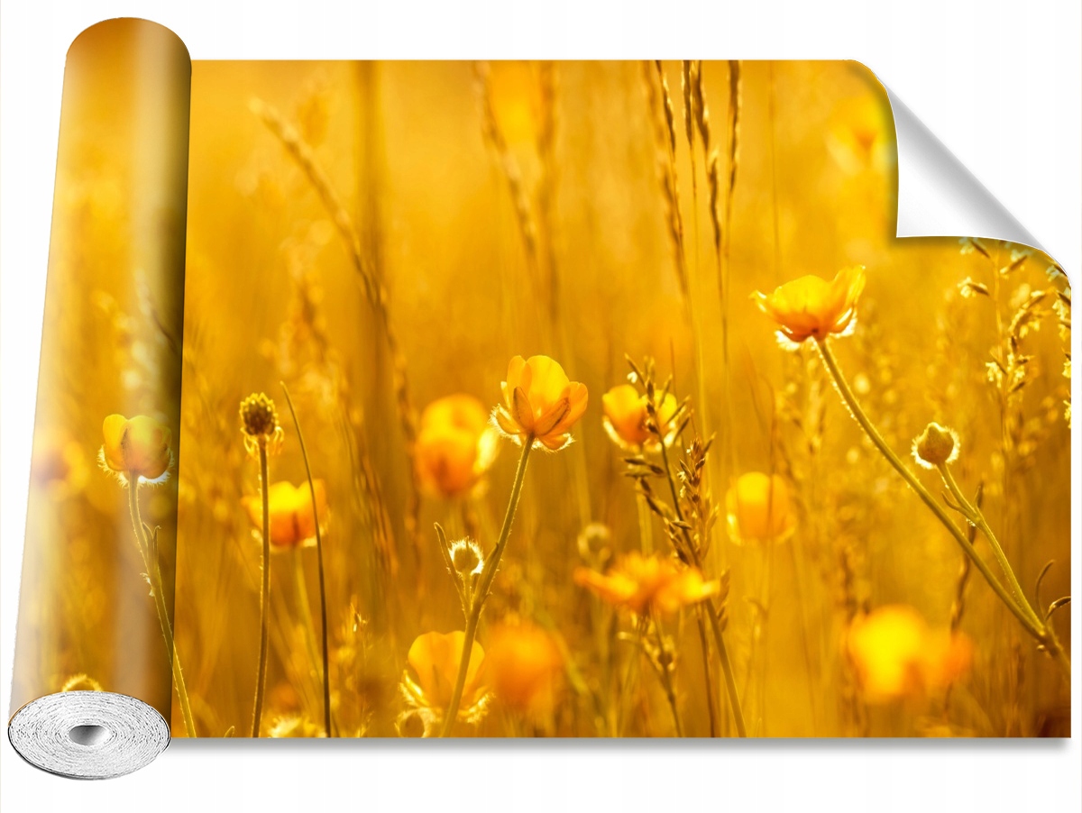 

Tapeta Samoprzylepna Łąka Kwiaty 104x70