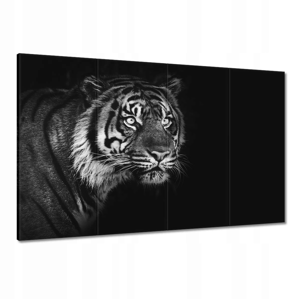 Obrazy 120x80 Sumaterský tygr