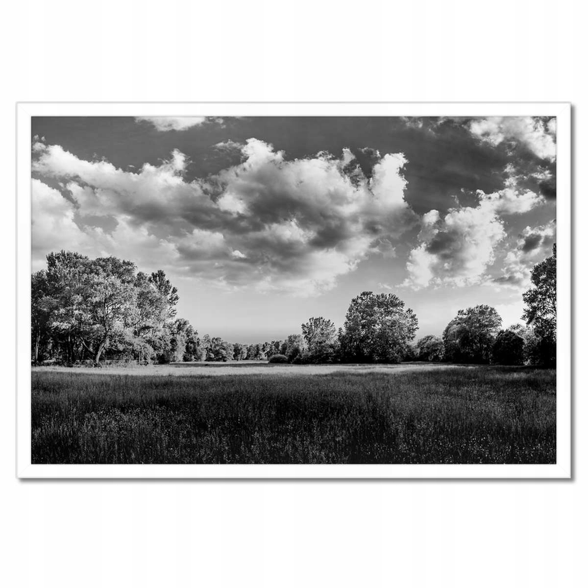 Plakáty v rámu 60x40 Venkovská krajina louky