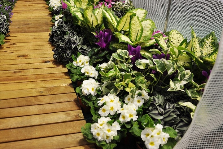 TUNEL FOLIOWY OGRODOWY OGRODNICZY SZKLARNIA FOLIAK 10M2 MOCNY STABILNY Szerokość produktu 250 cm