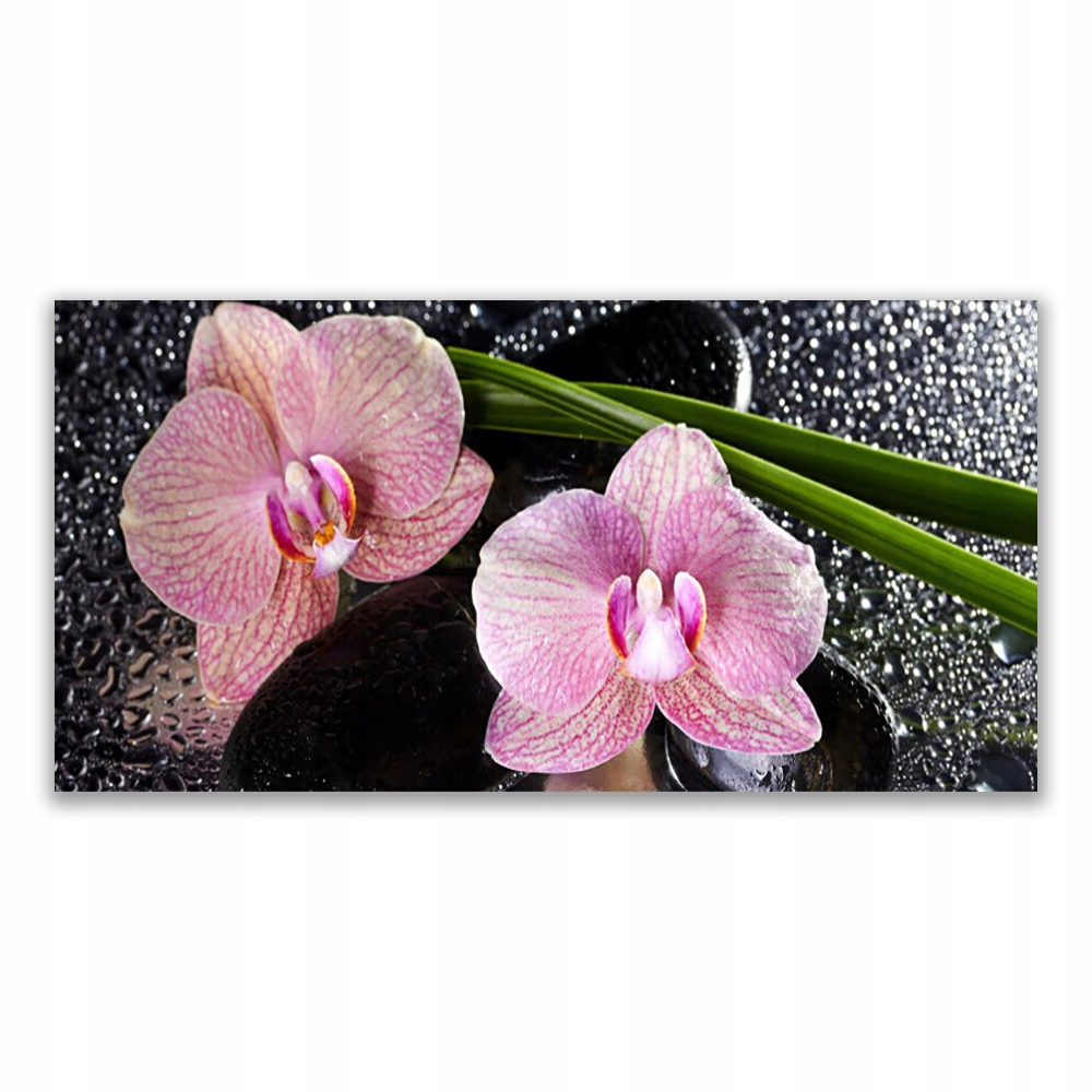 

Obraz akrylowy 120x60 Kwiaty Orchidea Storczyk Zen