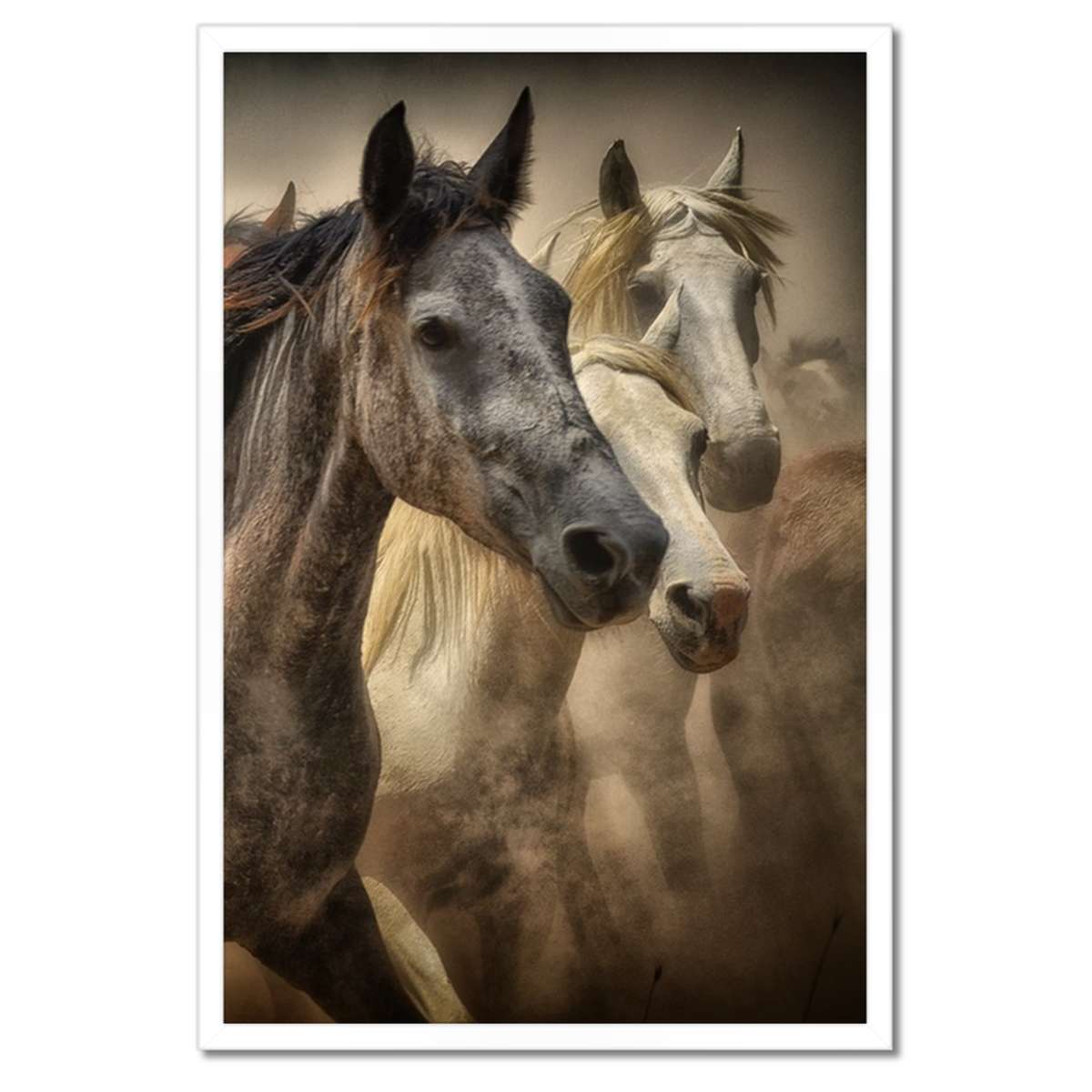 Plakáty v rámu 40x60 Divocí koně Koníci Galop
