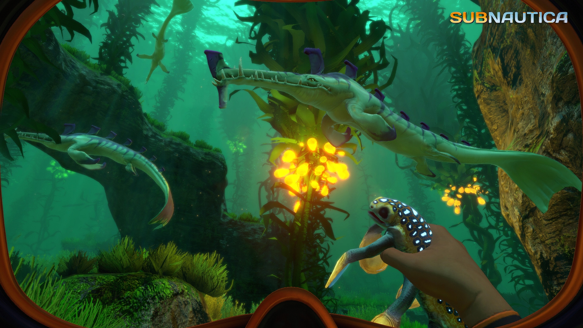 Subnautica PL PC steam Wersja językowa Angielska Polska