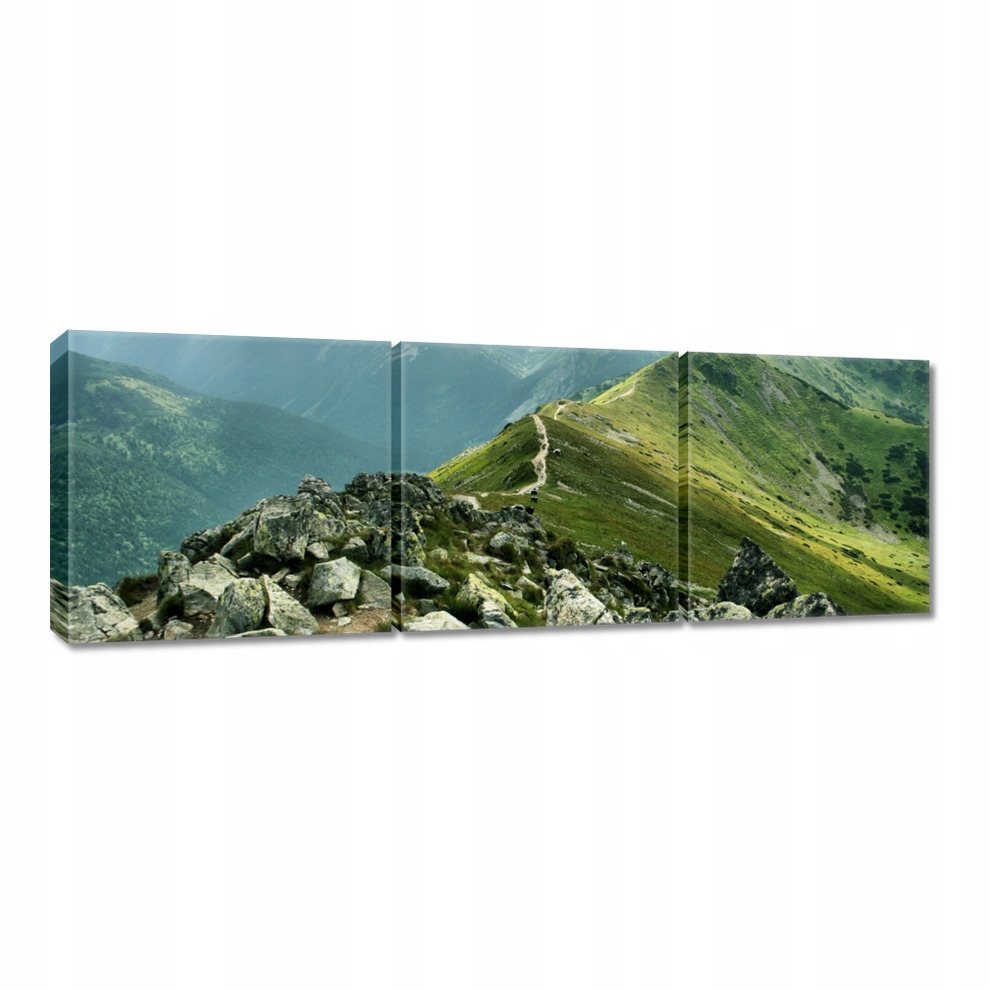 

Obrazy 60x20 Szczyt Tatr